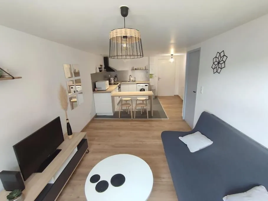 Appartement T2 Centre De Lourdes Francia